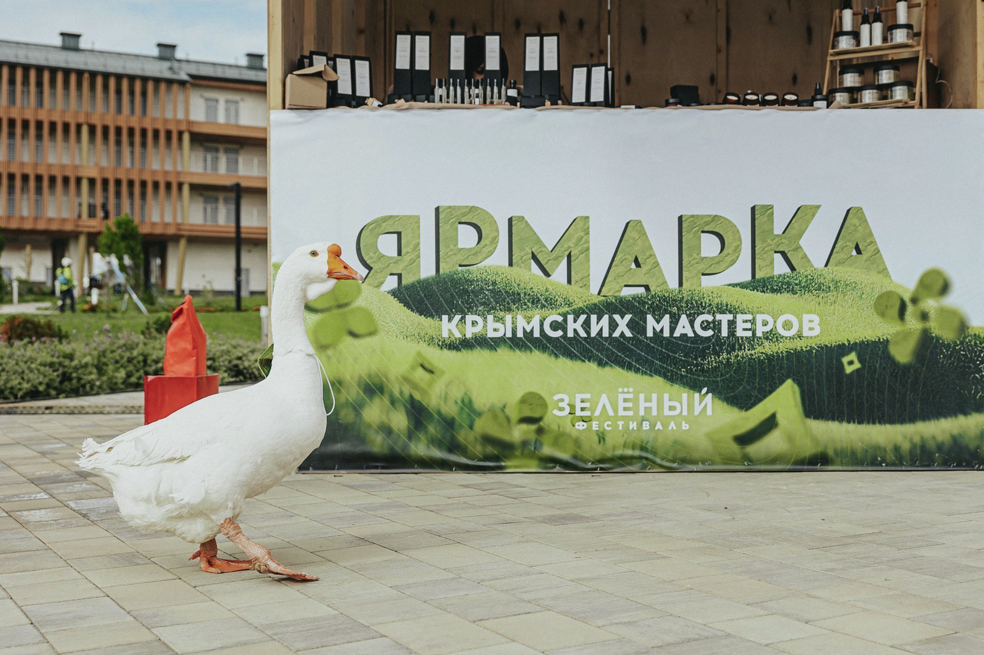 Символ Зелёного фестиваля – гусь-озеленюсь Символ Зелёного фестиваля – гусь-озеленюсь