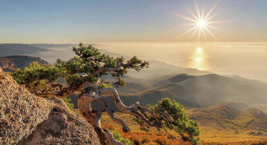 Лучшие места для фото в Крыму: фата-моргана, зодиакальный свет и соляные айсберги Лучшие места для фото в Крыму: фата-моргана, зодиакальный свет и соляные айсберги