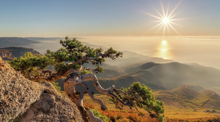 Работа участницы фотоконкурса «Крым в моём сердце» Екатерины Дмитренко Работа участницы фотоконкурса «Крым в моём сердце» Екатерины Дмитренко