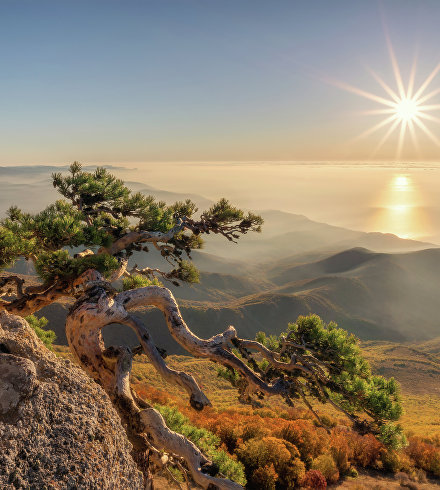 Работа участницы фотоконкурса «Крым в моём сердце» Екатерины Дмитренко