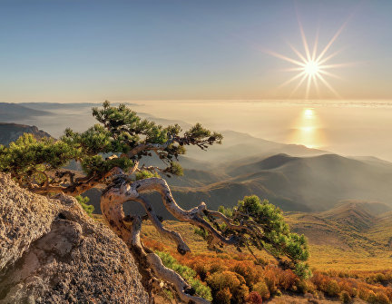 Работа участницы фотоконкурса «Крым в моём сердце» Екатерины Дмитренко