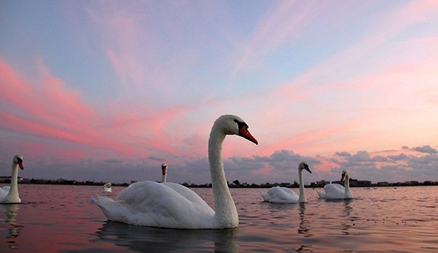 Весенние поделки своими руками. Лебеди на озере