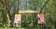 Эколого-патриотический маршрут «Партизанскими тропами Белогорского района»