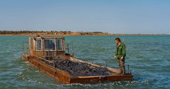 Грязедобыча в Саках