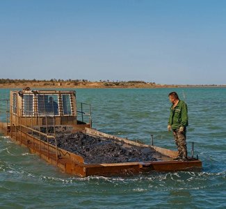 Сакские грязи стали альтернативой импортным бальнеопродуктам