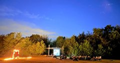 Эко-пространство «Али-Баир»