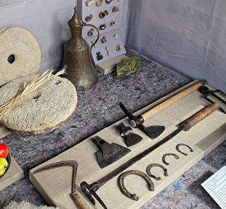 Что и как выращивали в Крыму два века назад: в Ханском дворце открылась новая выставка
