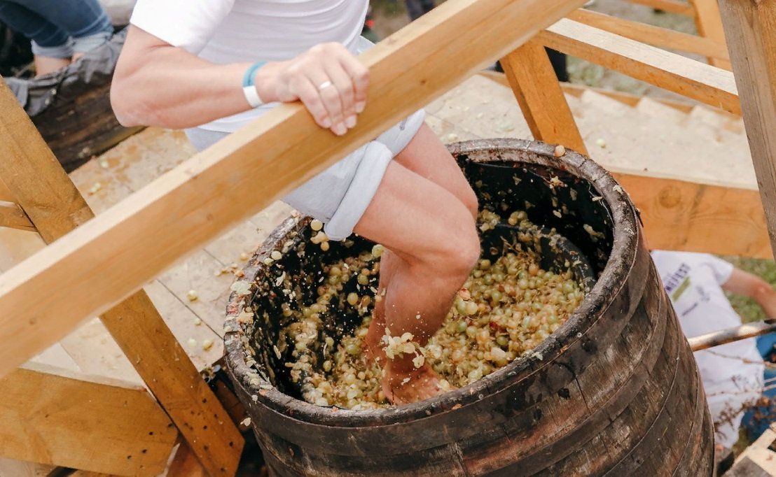 Фестиваль урожая и виноделия WineFest