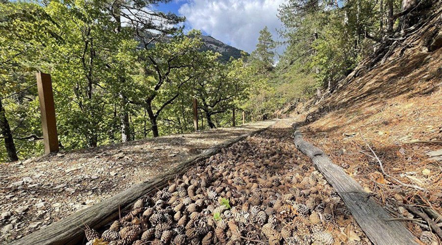 Тропа здоровья в Национальном парке «Крымский» Тропа здоровья в Национальном парке «Крымский»