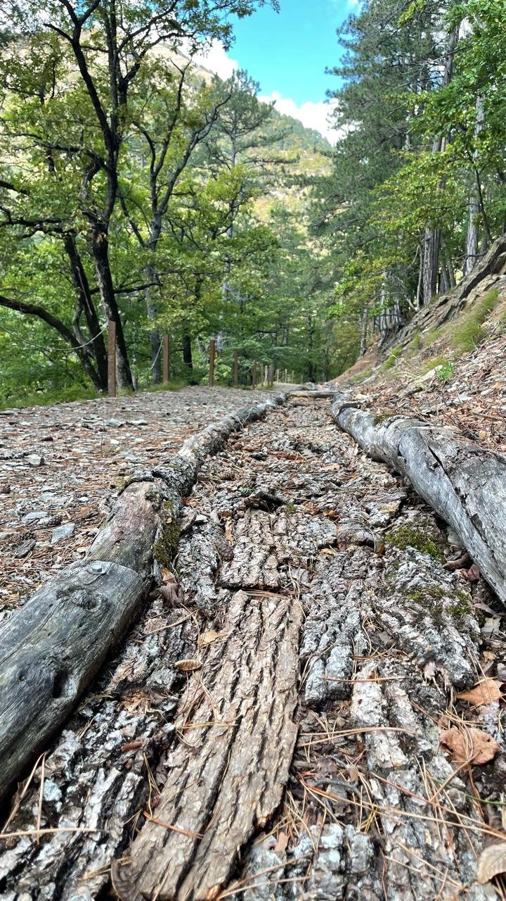 Тропа здоровья в Национальном парке «Крымский» Тропа здоровья в Национальном парке «Крымский»