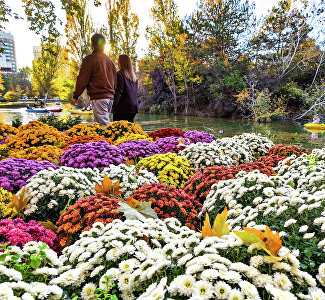 Три дня выходных: чего ждать от погоды в Крыму
