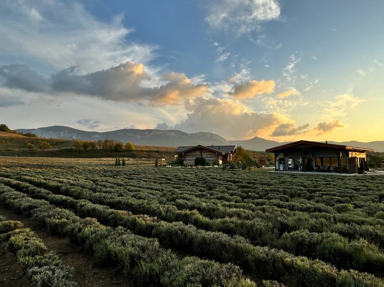 Ферма Viva Lavanda