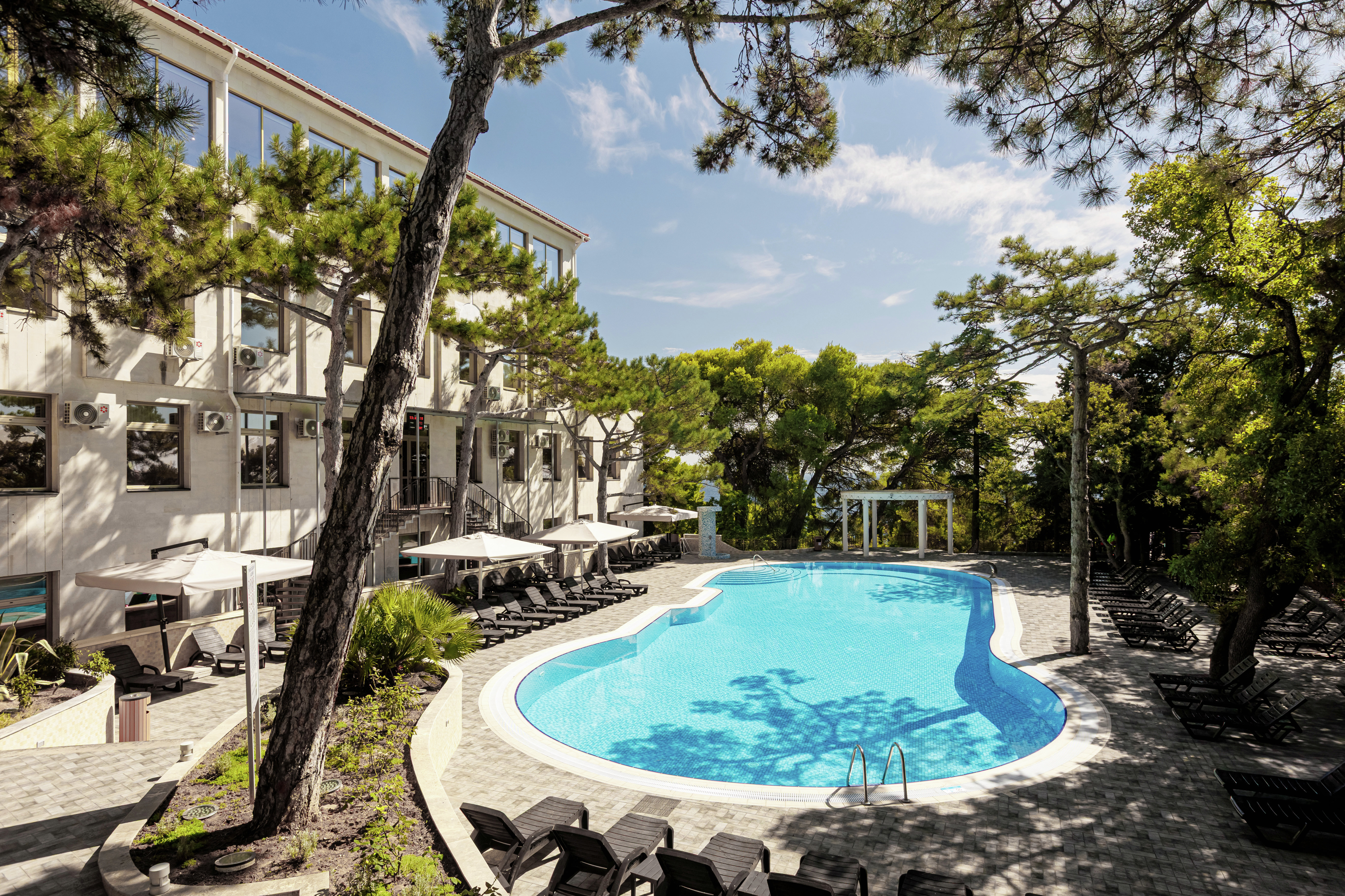 Территория климатического курорта &amp;laquo;Сосновая Роща&amp;raquo;