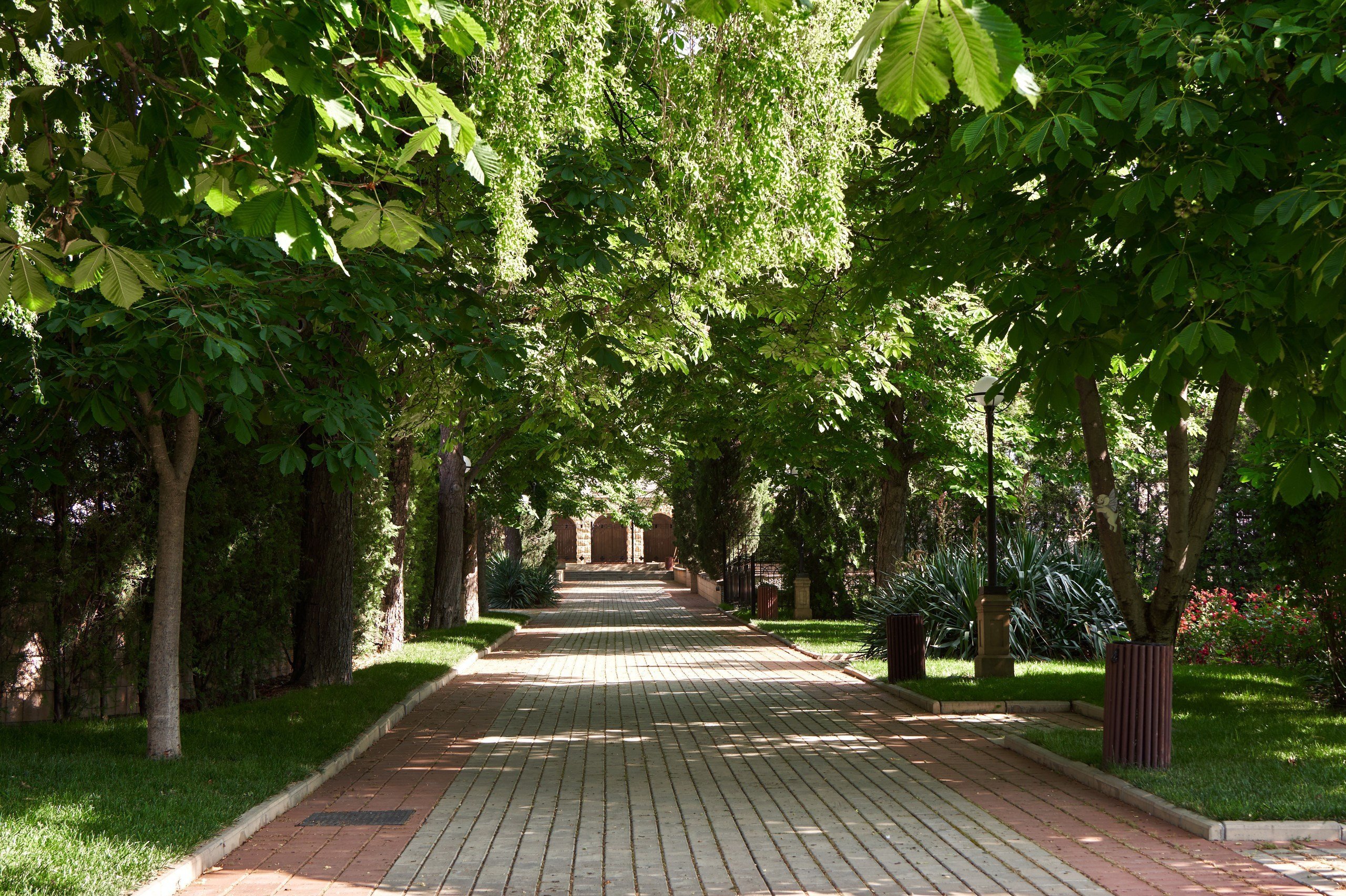 Территория курортного комплекса «Алые Паруса» Территория курортного комплекса «Алые Паруса»