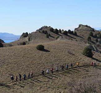 Афиша Крыма в выходные: День гор на Кара-Даге, новогодние мастер-классы и экскурсии, диктант в роще секвой