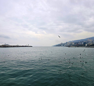 Ветрено и сыро: прогноз погоды в первые выходные декабря