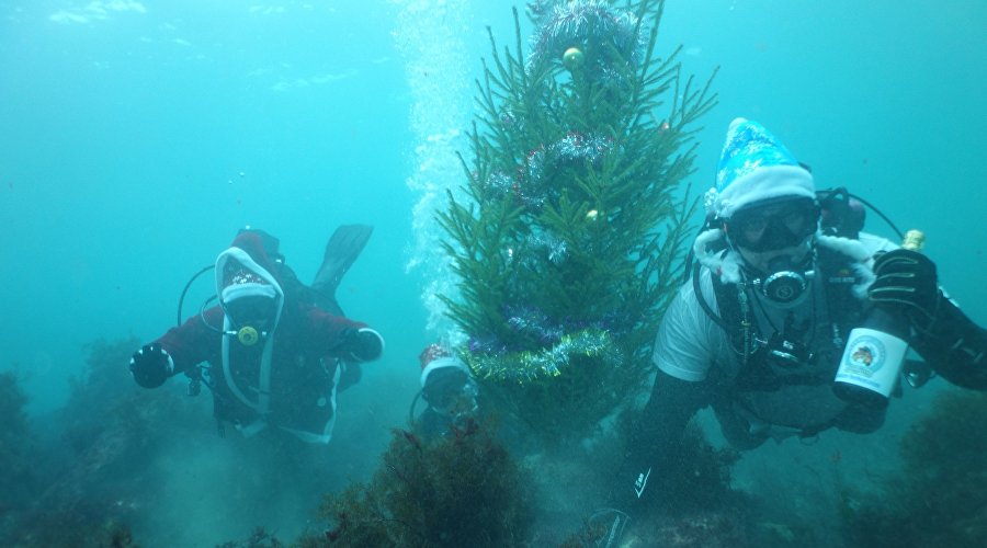 Новый год под водой