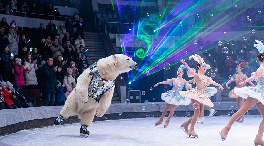 Цирк на льду Цирк на льду