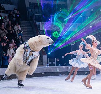 Афиша Крыма в выходные: гастрофестиваль, конкурс «Королева Пантикапея» и цирк на льду