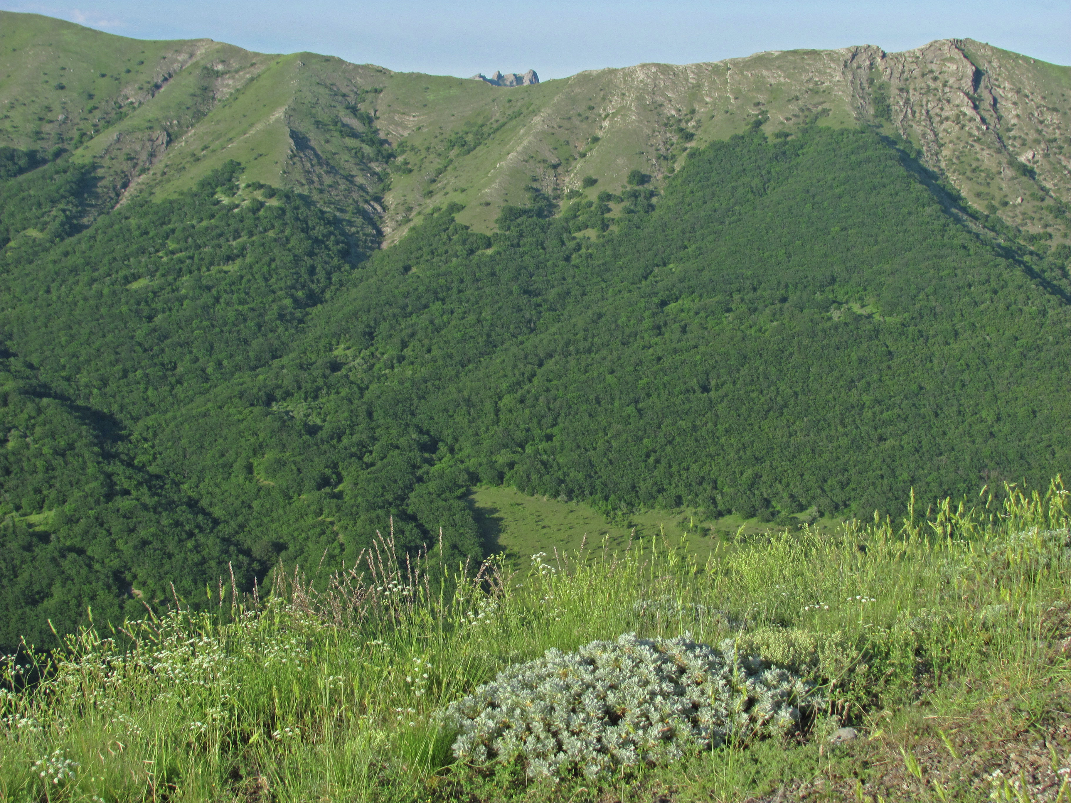Хребет Орта-Сырт Хребет Орта-Сырт