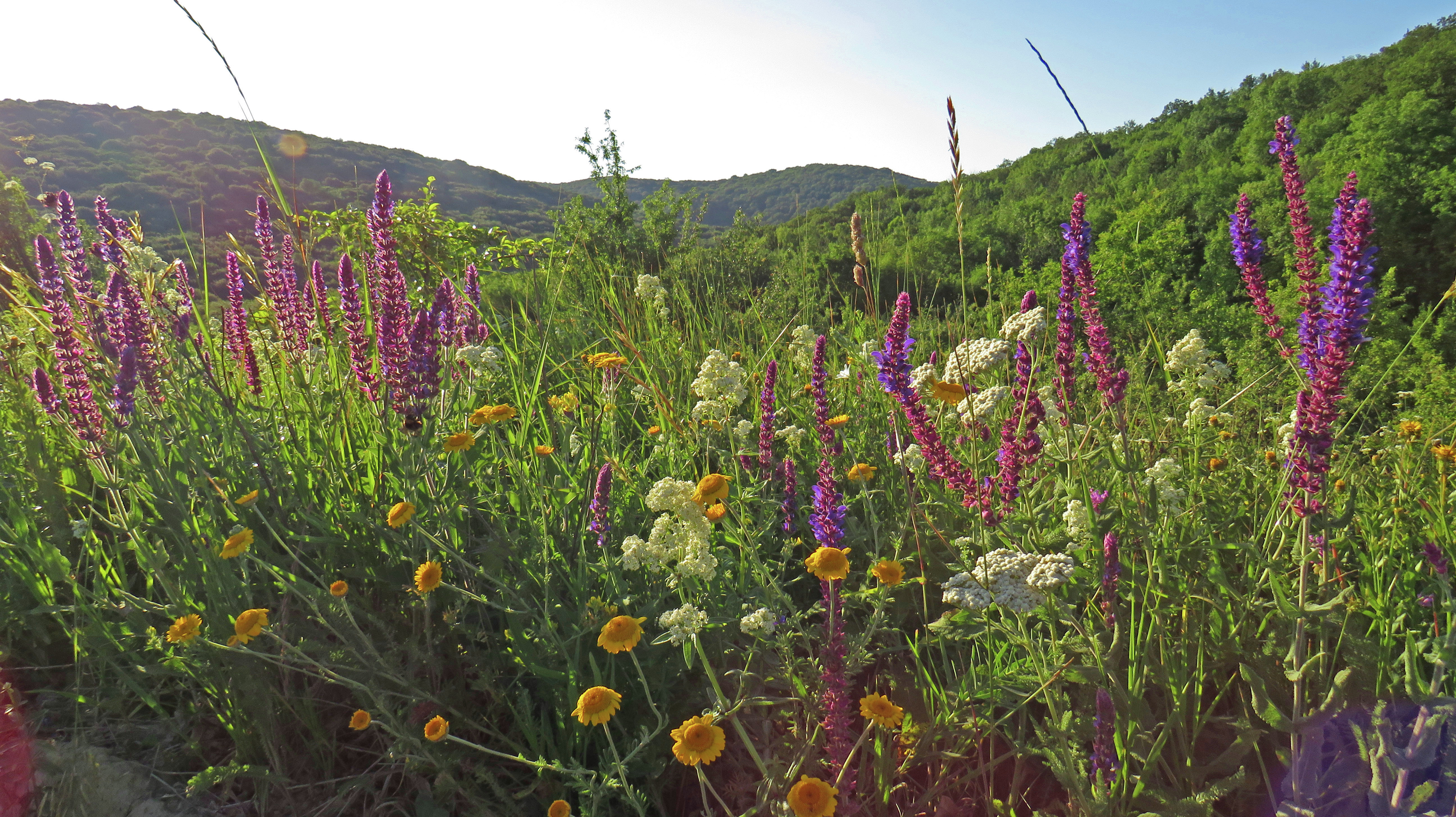 Перевал Ворон Перевал Ворон