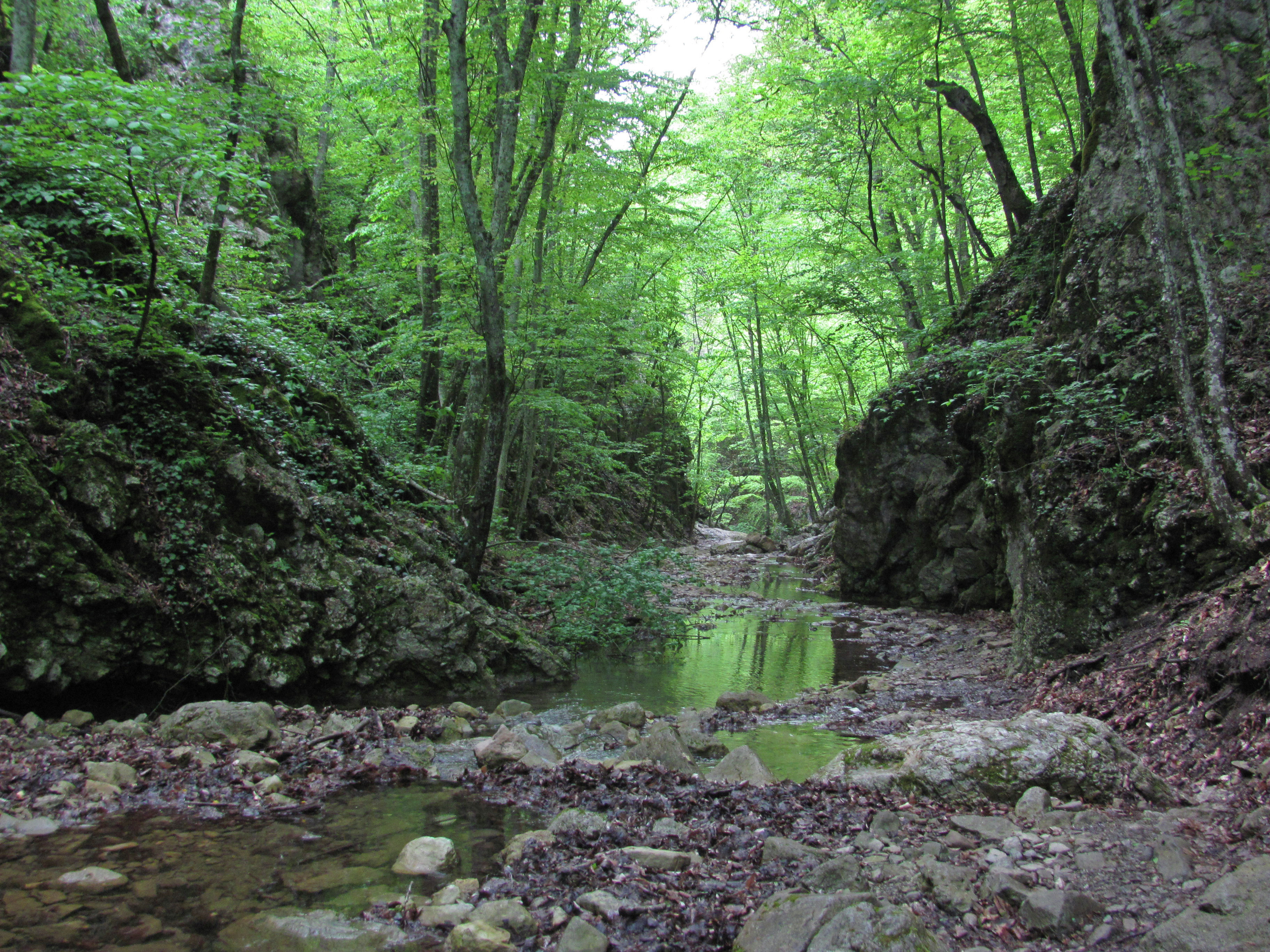 Река Кучук-Карасу Река Кучук-Карасу