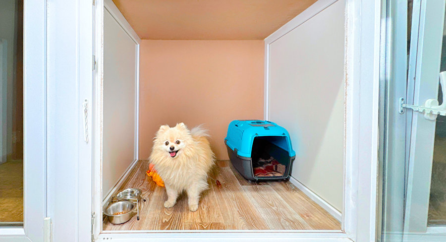 Зоогостиницы в Крыму: где присмотрят за питомцем