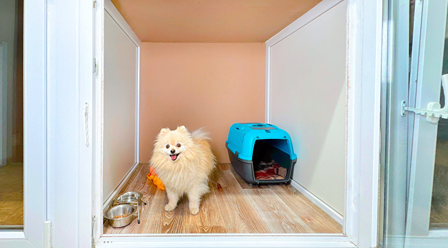 Зоогостиница