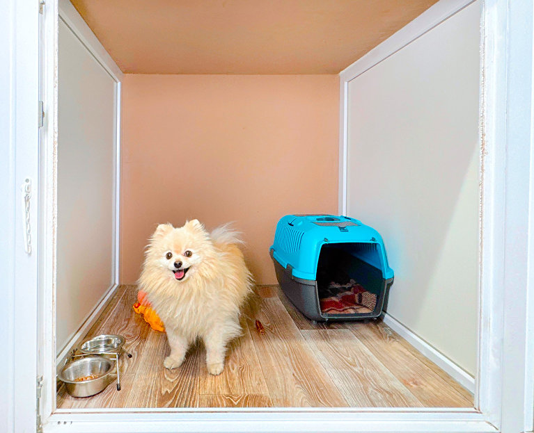 Зоогостиница