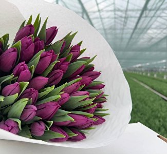 В Симферополе стартовали экскурсии по царству тюльпанов