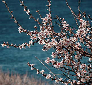 Три дня выходных: где в Крыму пройдёт дождь и будет ли дуть ветер