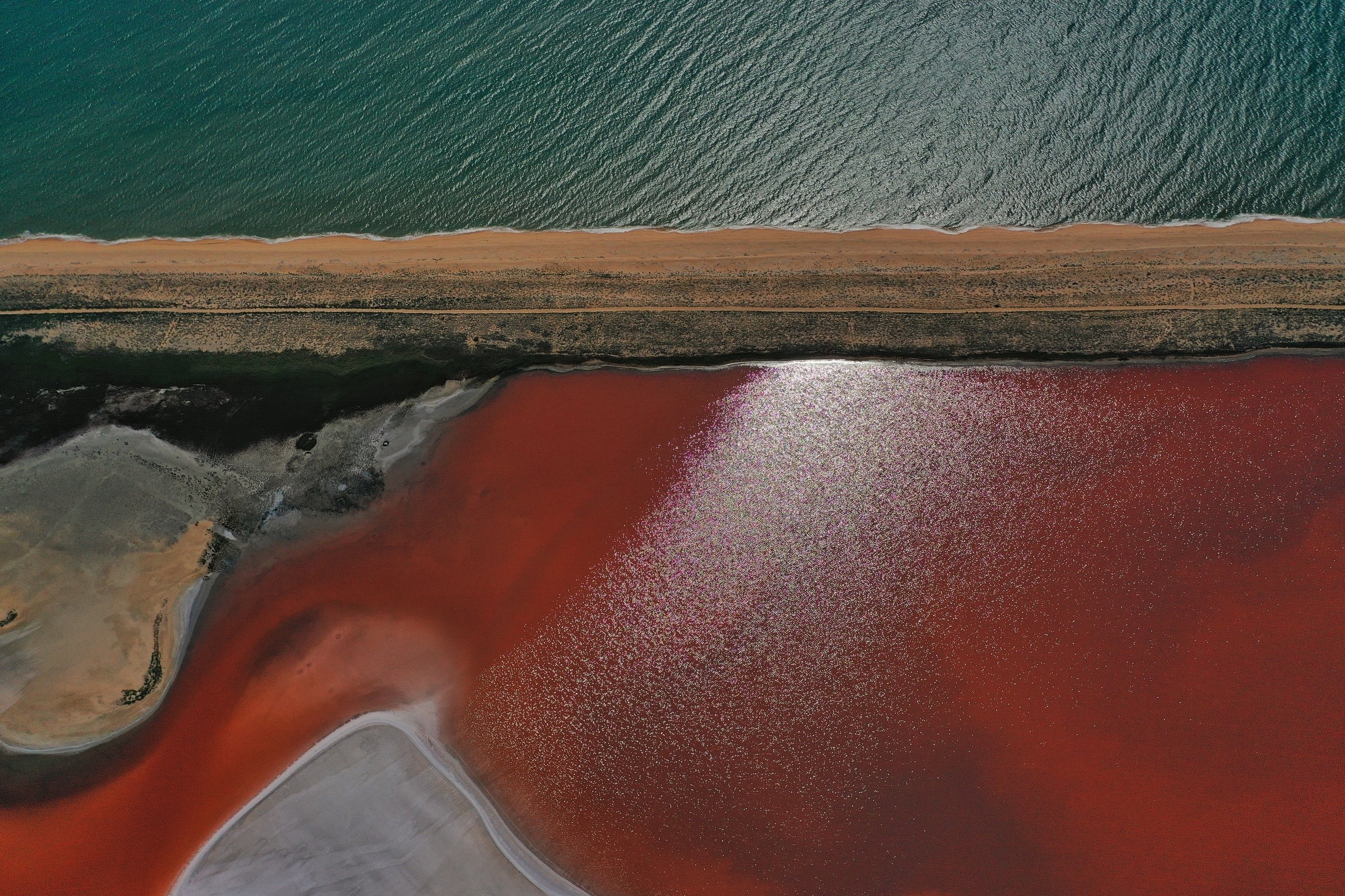 Фотография Дмитрия Батагова &amp;laquo;Заповедник&amp;raquo;