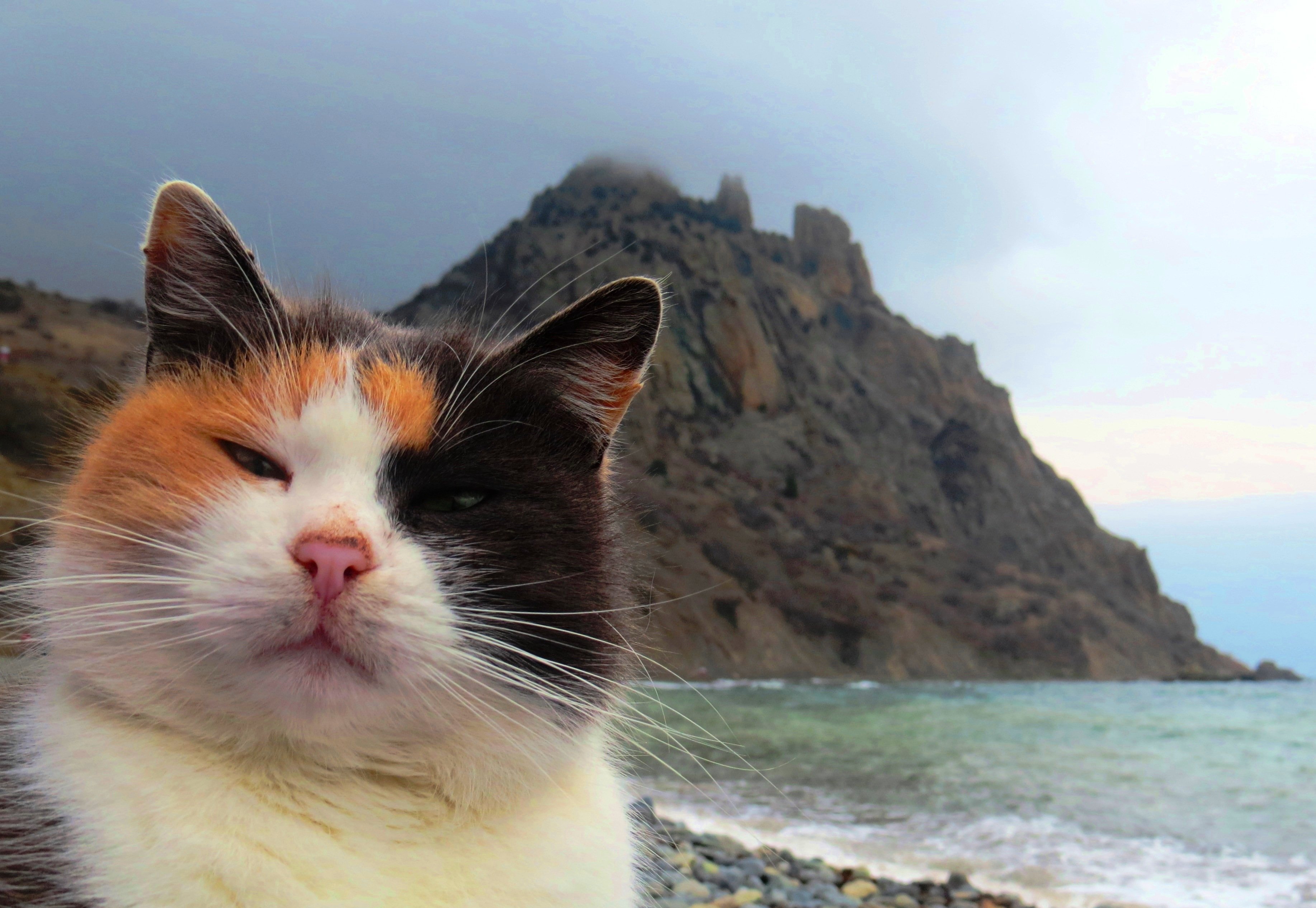 Фотография Юлии Лужаниной &amp;laquo;Из Карадага с любовью&amp;raquo;