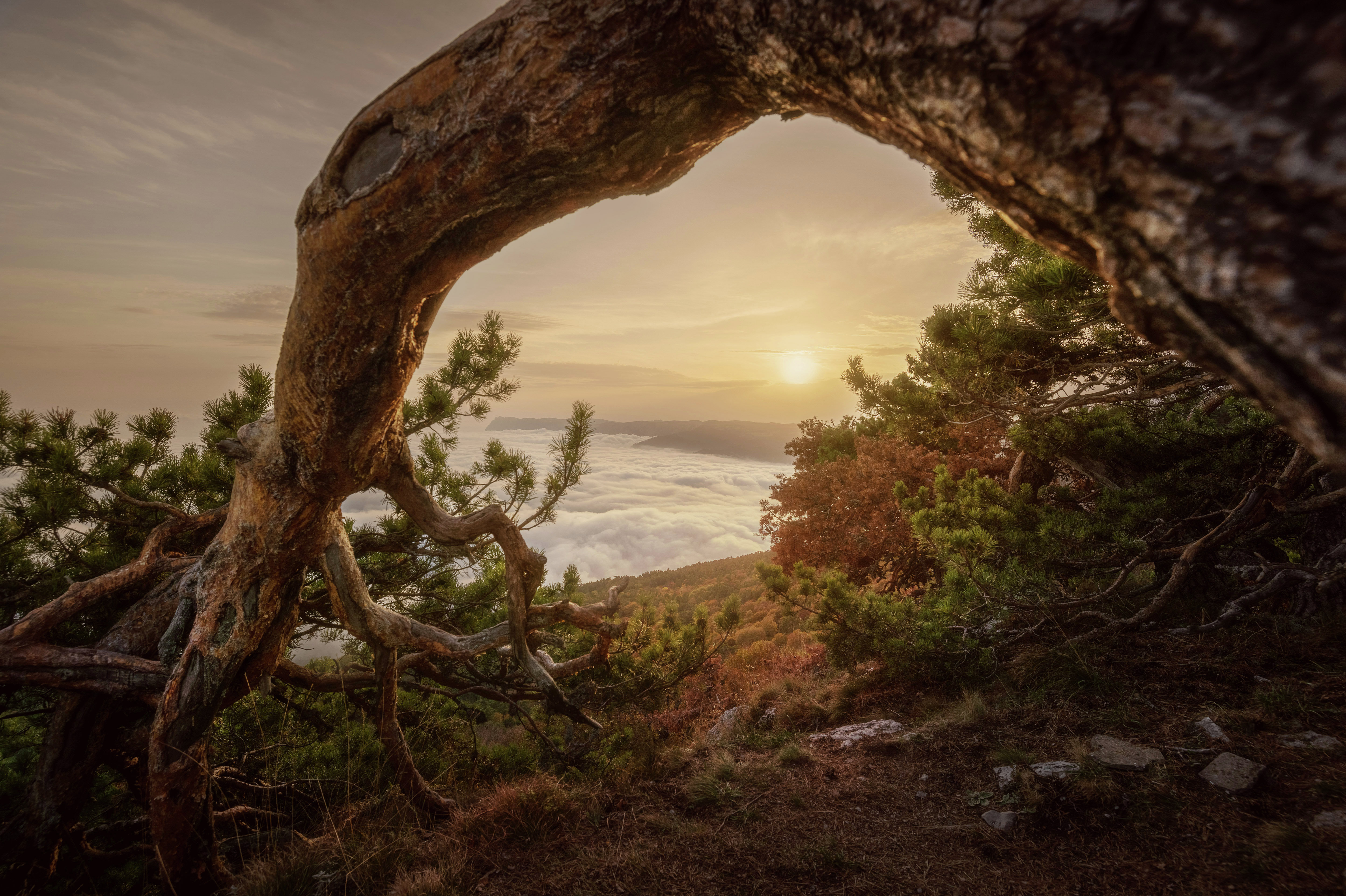 Фотография Антона Денисенко &amp;laquo;С любовью к природе&amp;raquo;