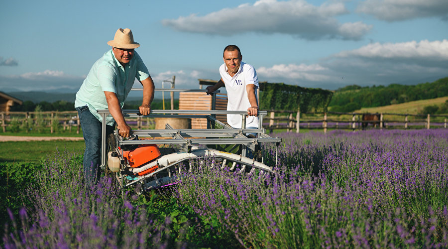 Ферма Viva Lavanda