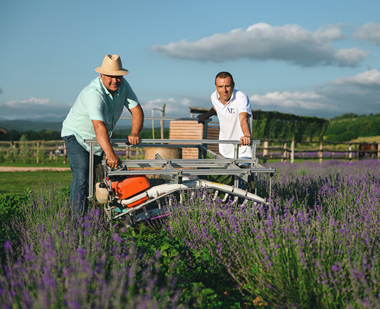 Ферма Viva Lavanda 