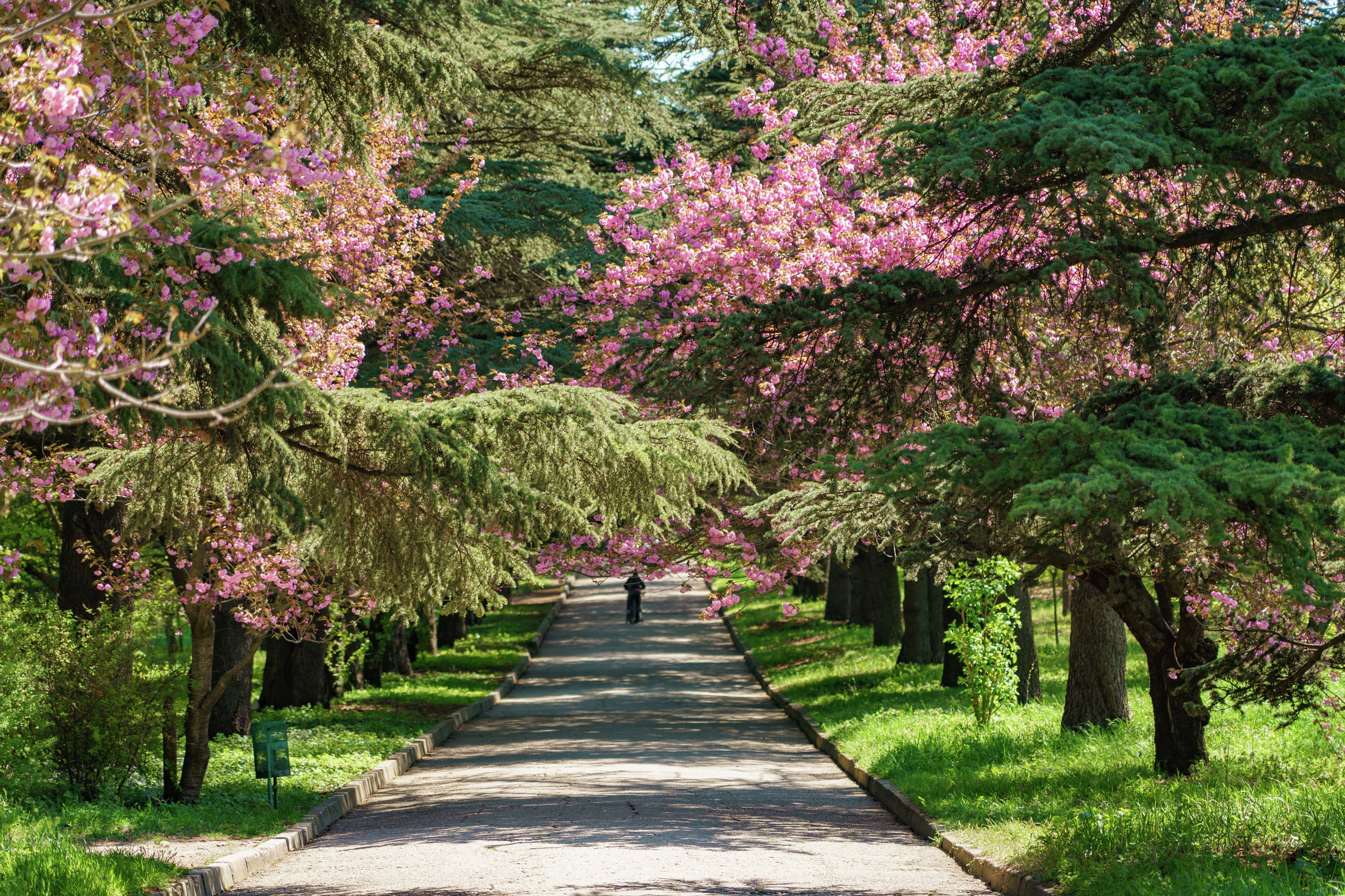 Ботанический сад им. Н.В. Багрова