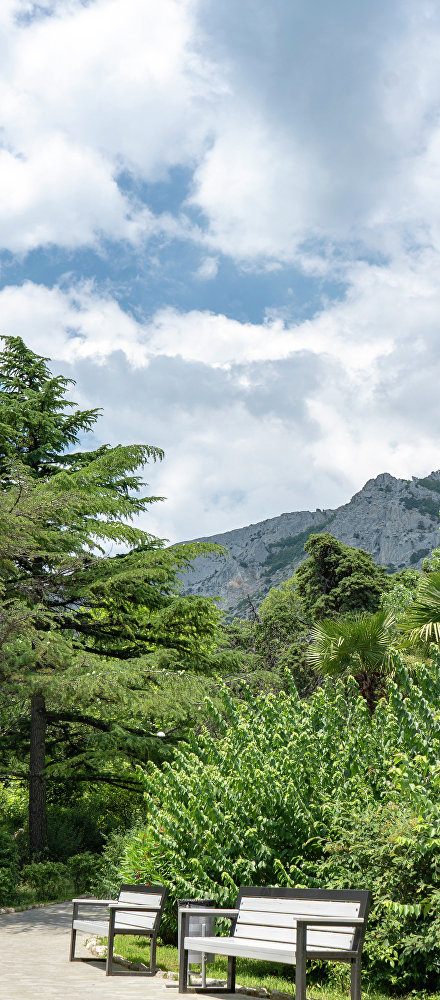 Топ старинных парков Крыма в санаториях и отелях: где живёт гармония природы и архитектуры