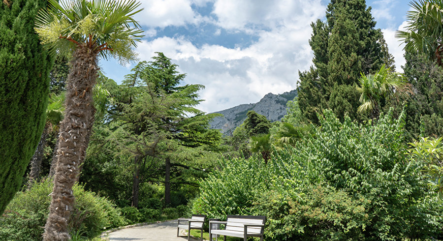 Топ старинных парков Крыма в санаториях и отелях: где живёт гармония природы и архитектуры Топ старинных парков Крыма в санаториях и отелях: где живёт гармония природы и архитектуры