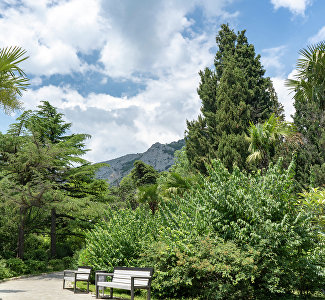 Топ старинных парков Крыма в санаториях и отелях: где живёт гармония природы и архитектуры Топ старинных парков Крыма в санаториях и отелях: где живёт гармония природы и архитектуры