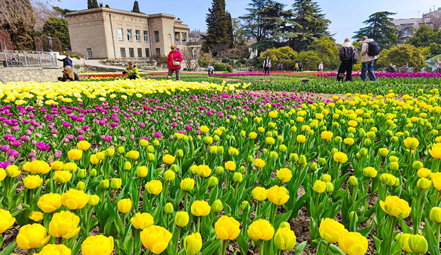 Парад тюльпанов в Никитском ботаническом саду Парад тюльпанов в Никитском ботаническом саду