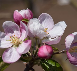 Дожди и солнце: прогноз погоды на длинные выходные в Крыму