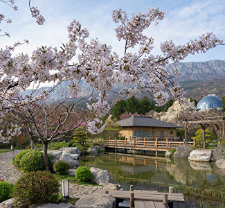 Белые и розовые цветы Страны восходящего солнца распустились в Японском саду Ялты