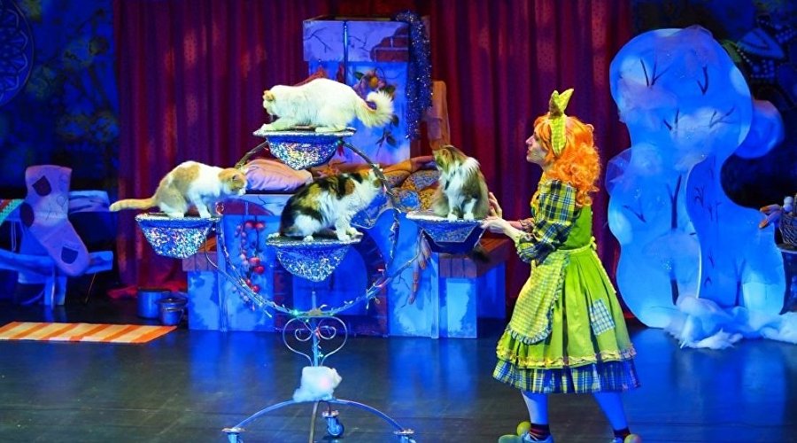 Спектакль Театра кошек народного артиста РСФСР Юрия Куклачёва