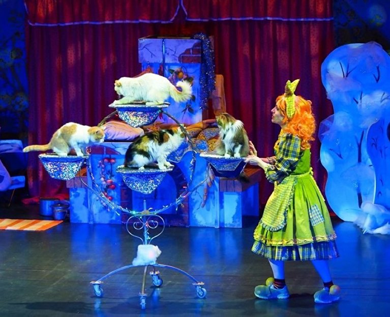 Спектакль Театра кошек народного артиста РСФСР Юрия Куклачёва 