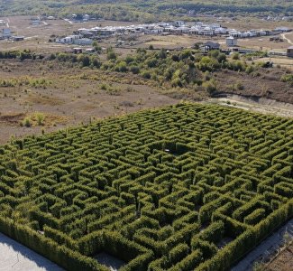 «Зелёная» новинка Крыма: туристов приглашают в лабиринт из живых растений