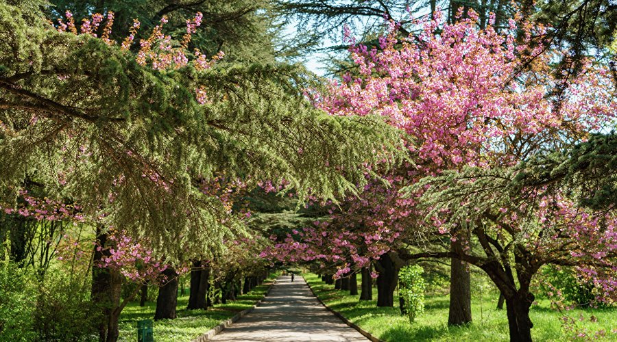 Ботанический сад им. Н. В. Багрова в Симферополе
