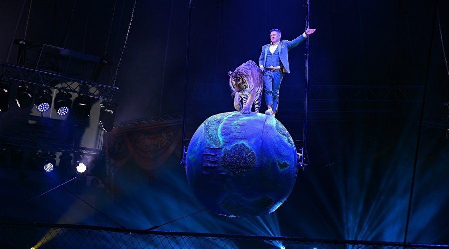 Шоу «Тигры на земле и в воздухе»