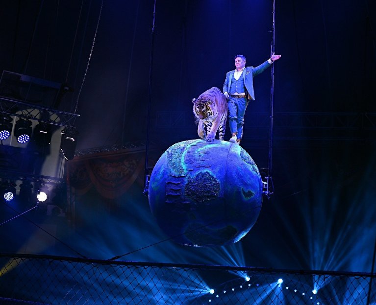 Шоу «Тигры на земле и в воздухе»