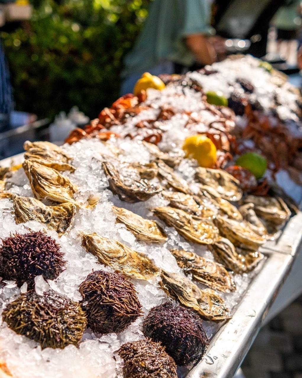 Фестиваль &amp;laquo;Пляж. Май. Старт&amp;raquo; на Массандровском пляже